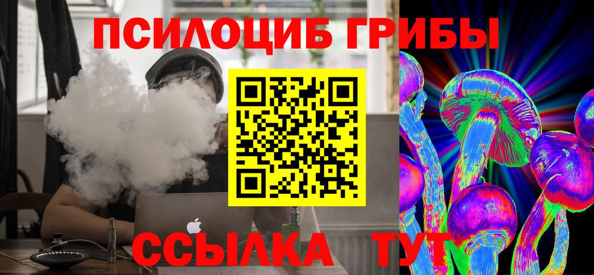 Галлюциногенные грибы Magic Shrooms  Галлюциногенные грибы Cubensis  Вход с VPN  Пенза 