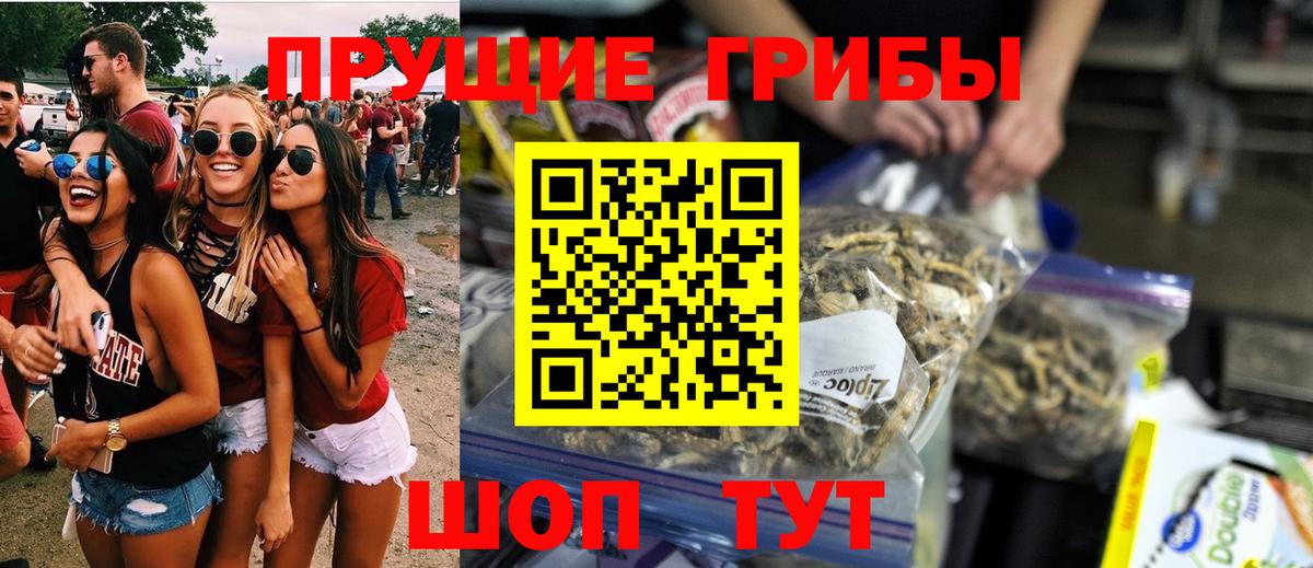 Галлюциногенные грибы Cubensis Пенза